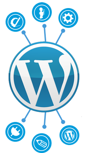 Wordpress Training